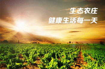 農(nóng)莊商城【獨立商城】